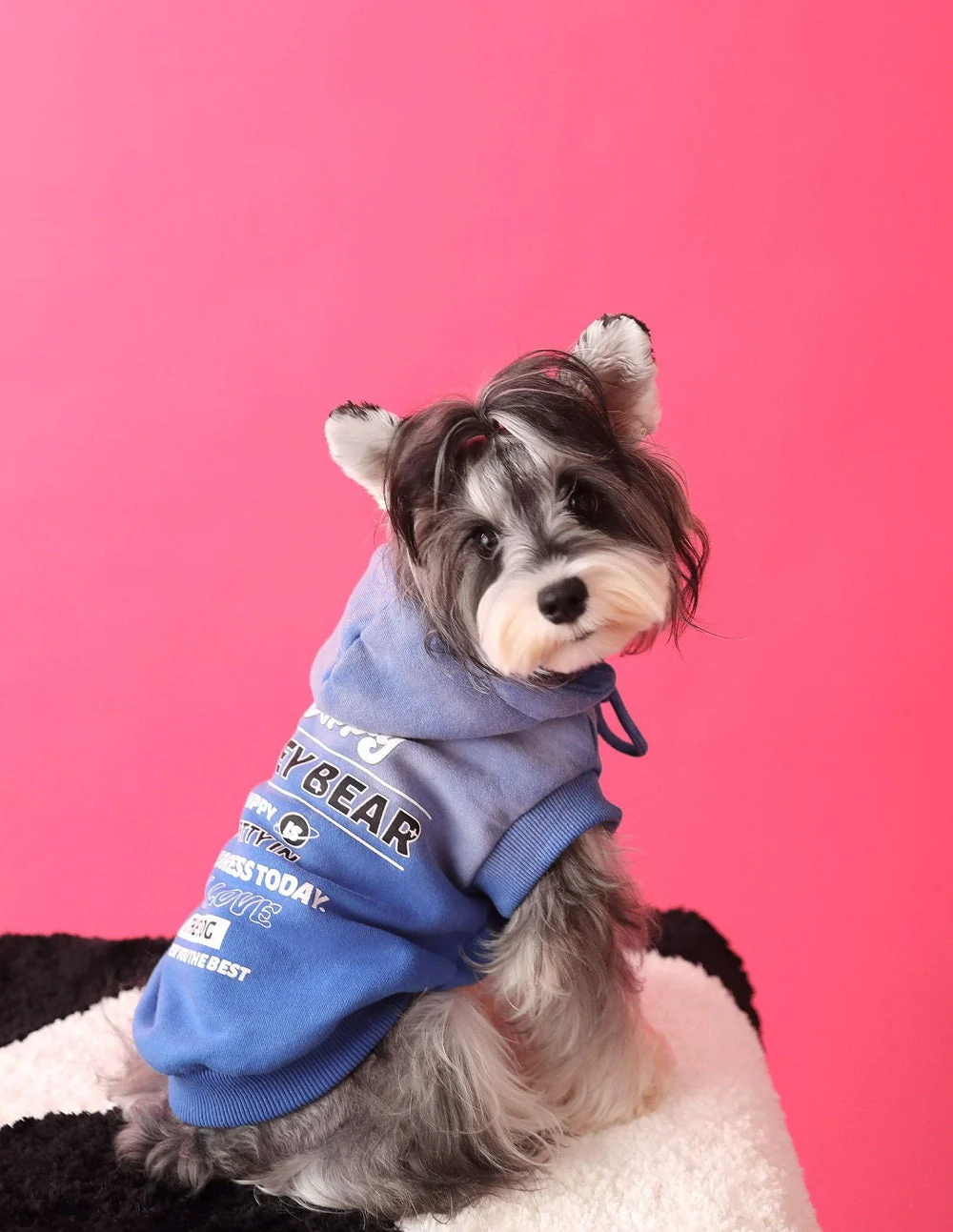Dog hoodie cool 2 - Image 4
