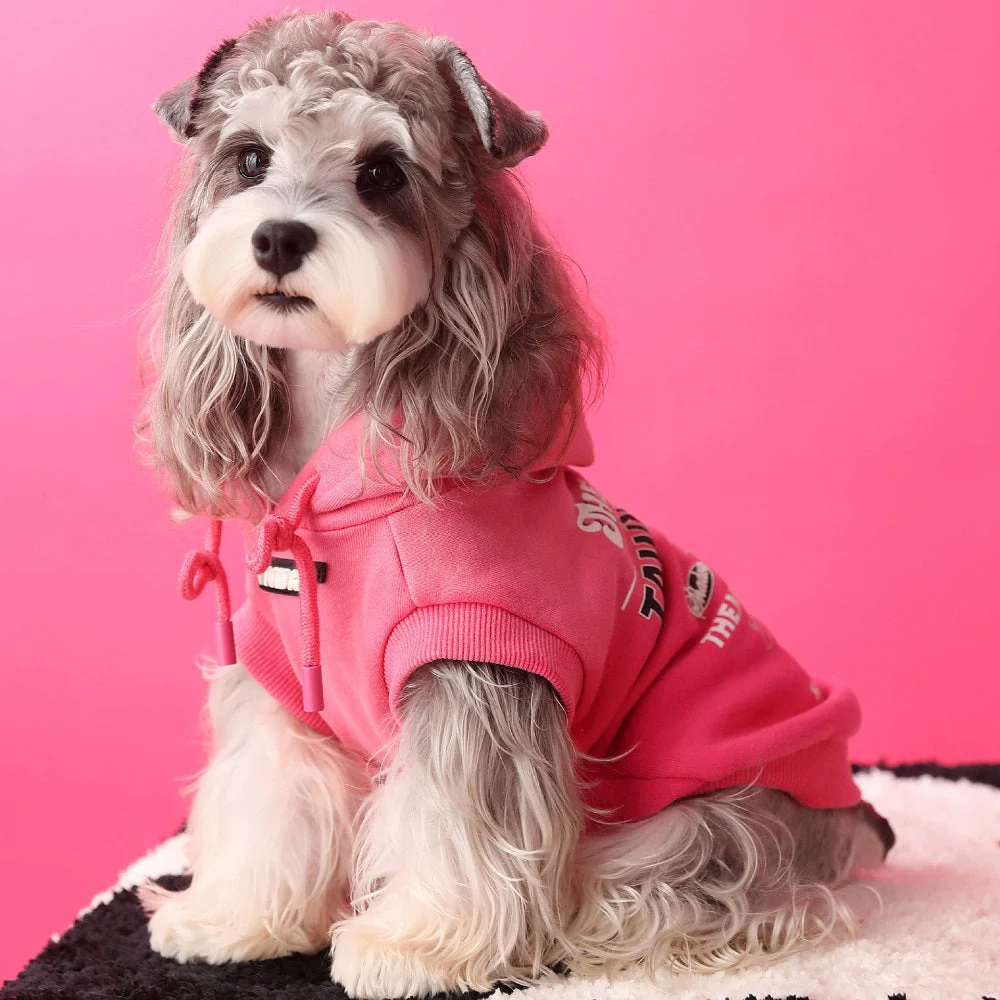 Dog hoodie cool 2 - Image 5