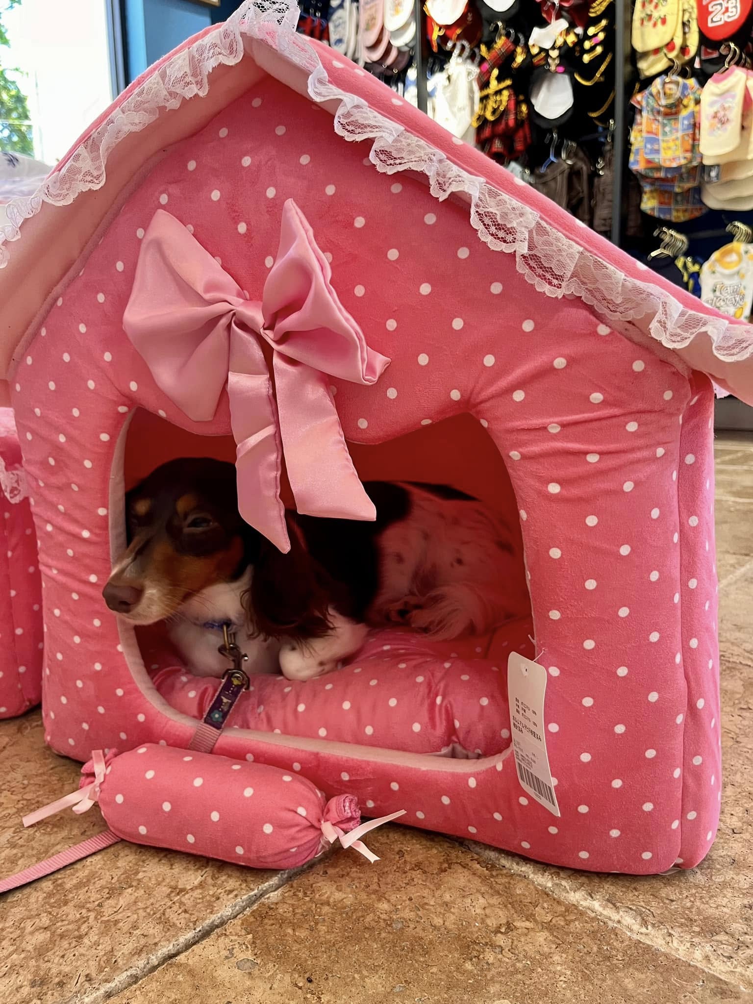 Dog house princess pink dot lace - Image 4
