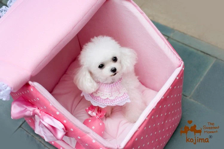 Dog house princess pink dot lace - Image 5