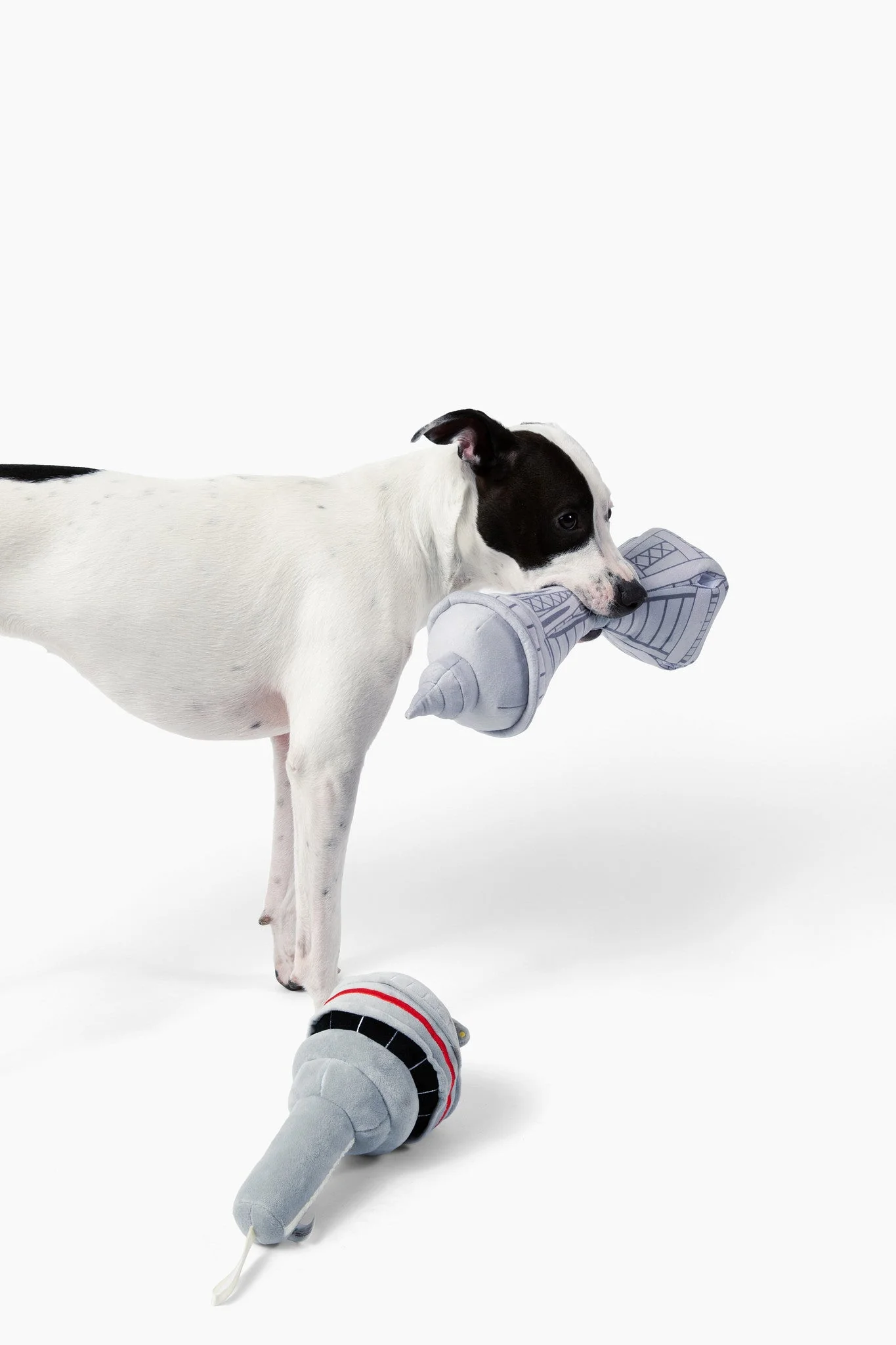 Dog In Seattle Nose Work Dog Toy - Image 2