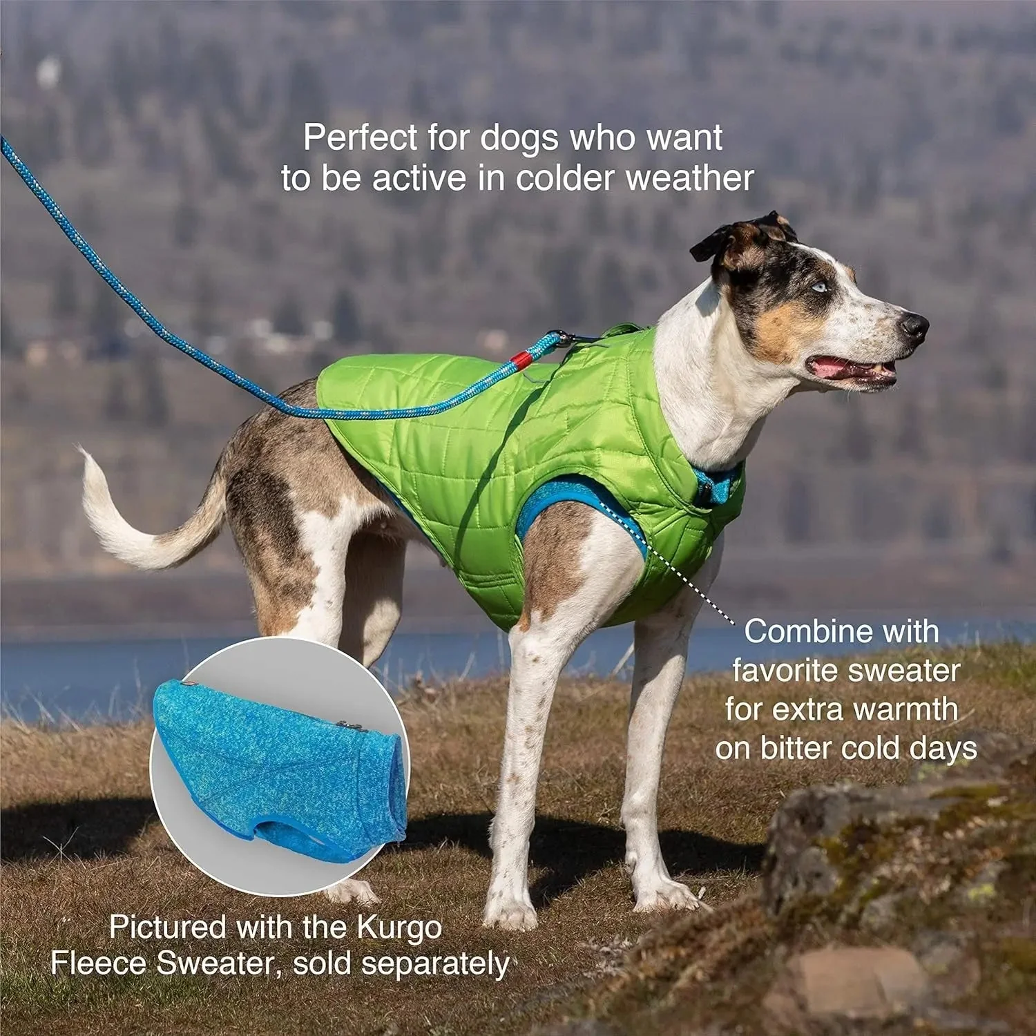 Dog Jacket, Reversible Winter Jacket for Dogs, Pet Coat for Hiking, Water Resistant, Reflective, Lightweight, Wear with Harness, Athletic, Loft Jacket (Liberty Floral, S), Floral/Magenta - Image 4