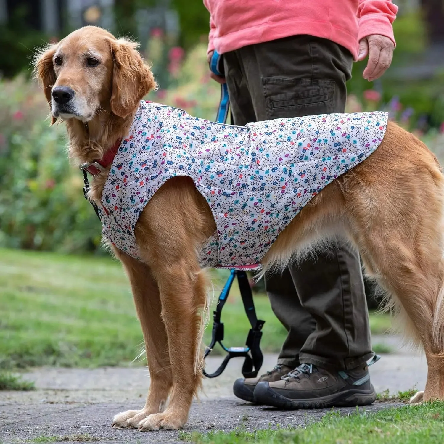 Dog Jacket, Reversible Winter Jacket for Dogs, Pet Coat for Hiking, Water Resistant, Reflective, Lightweight, Wear with Harness, Athletic, Loft Jacket (Liberty Floral, S), Floral/Magenta - Image 5