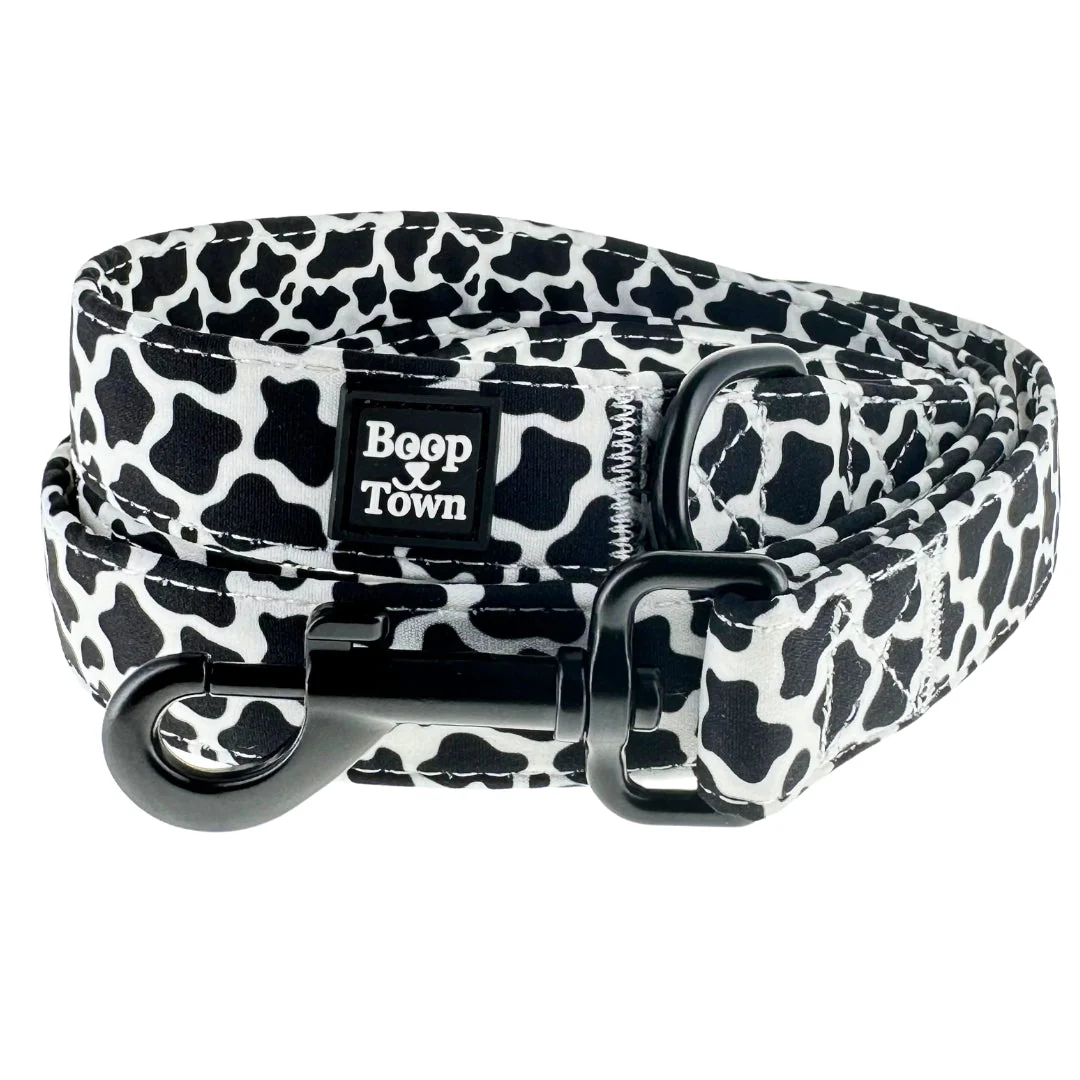 Dog Leashes - Image 11