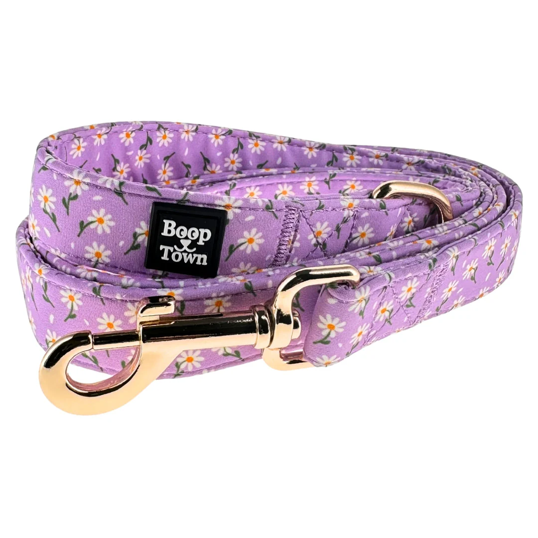 Dog Leashes - Image 2