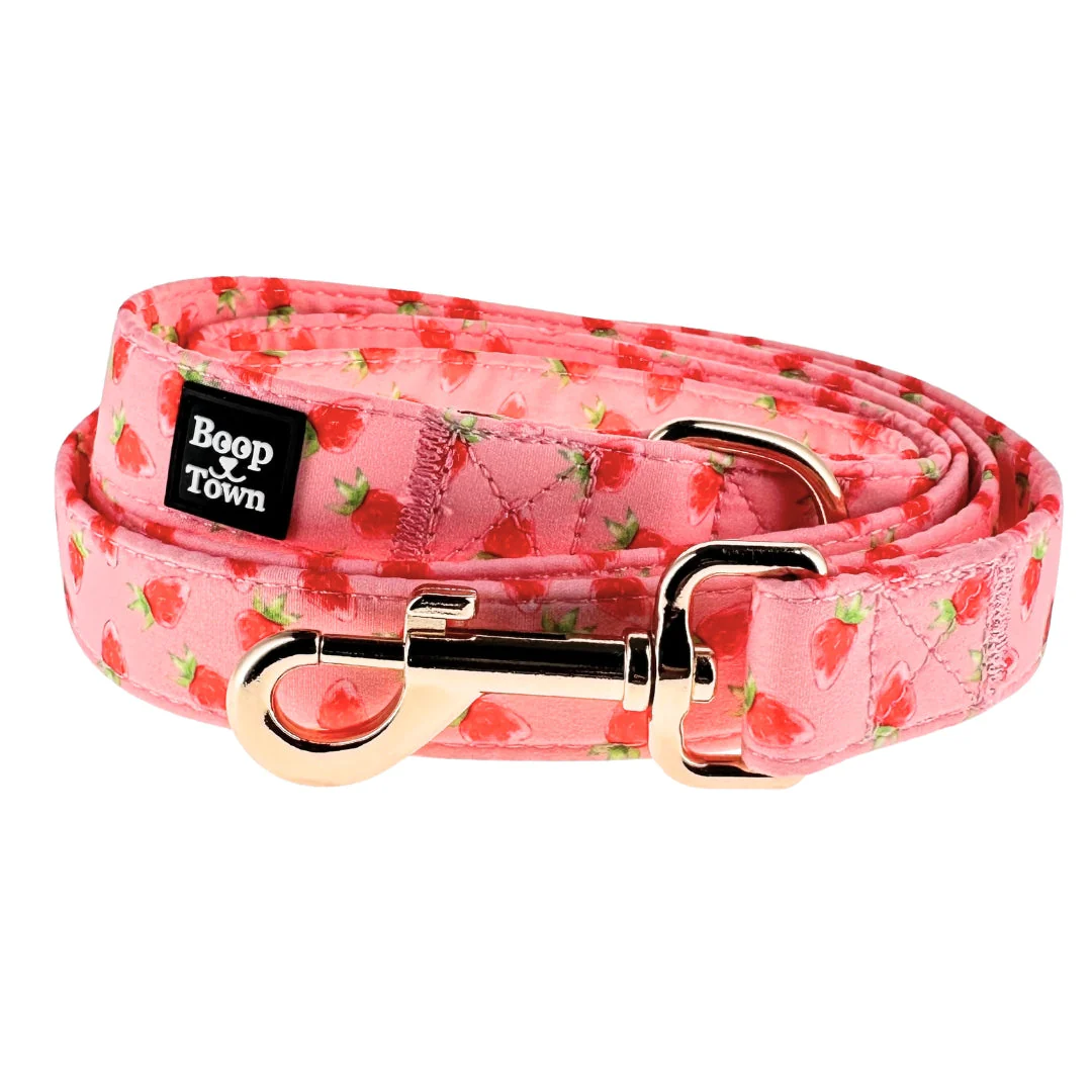 Dog Leashes - Image 4