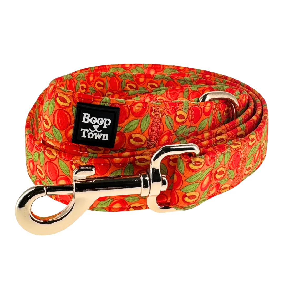 Dog Leashes - Image 6