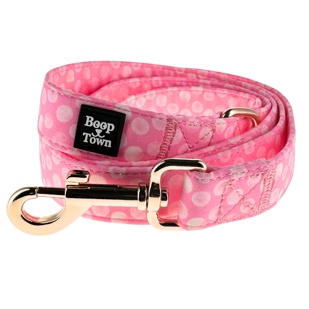 Dog Leashes - Image 9