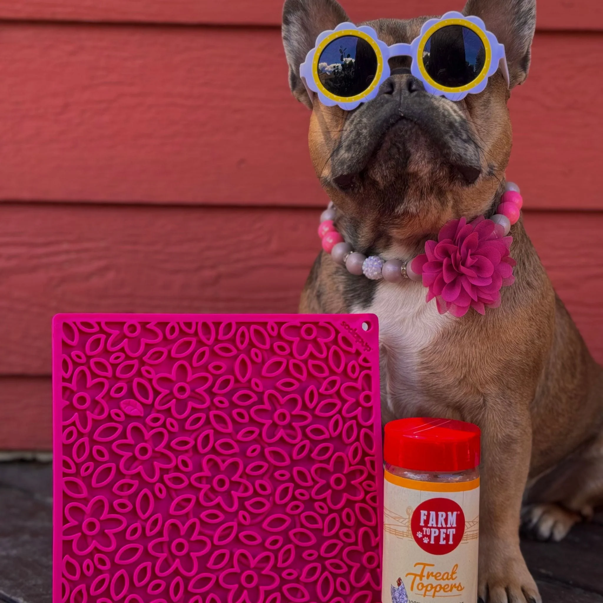 Dog Lick Mats - Image 12