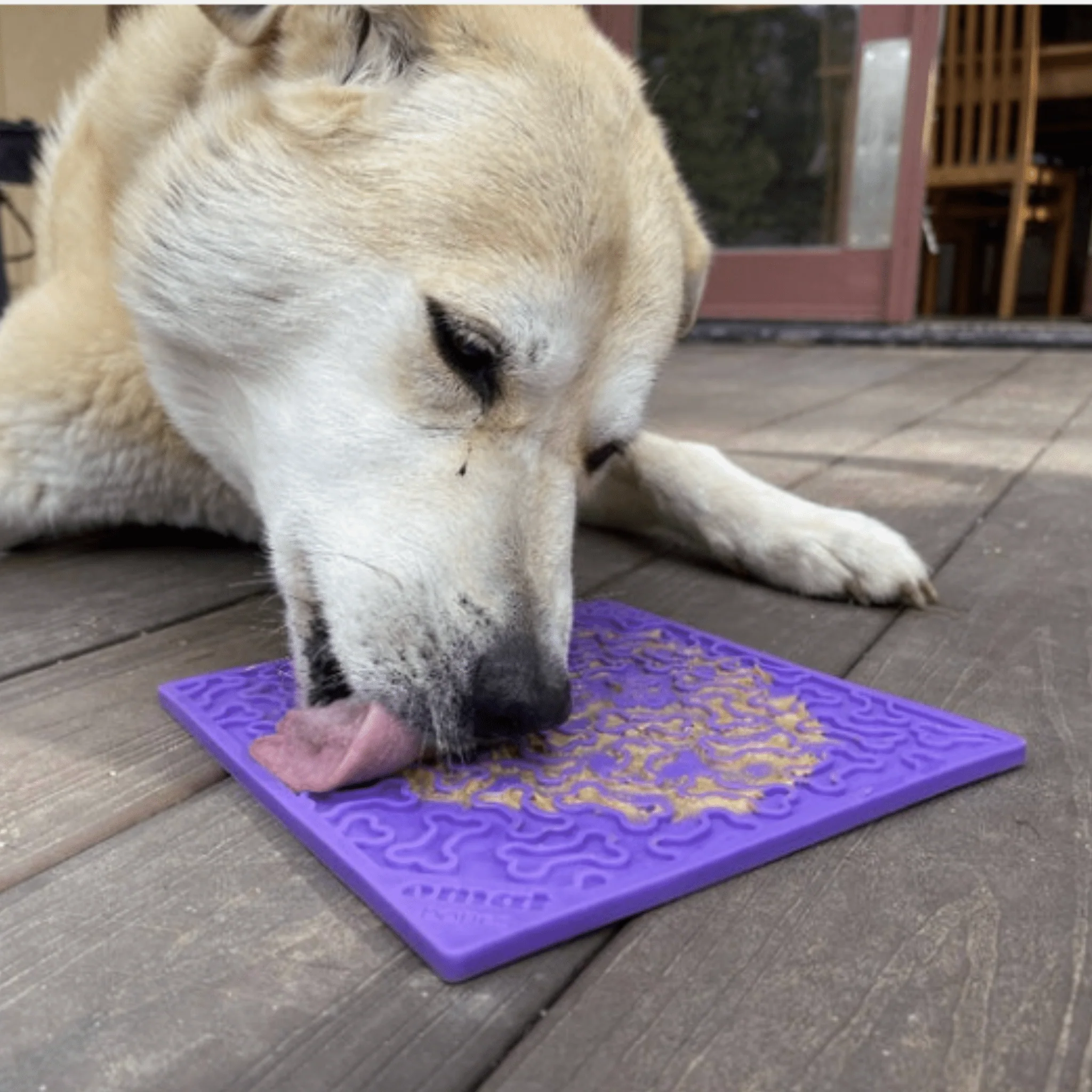 Dog Lick Mats - Image 18