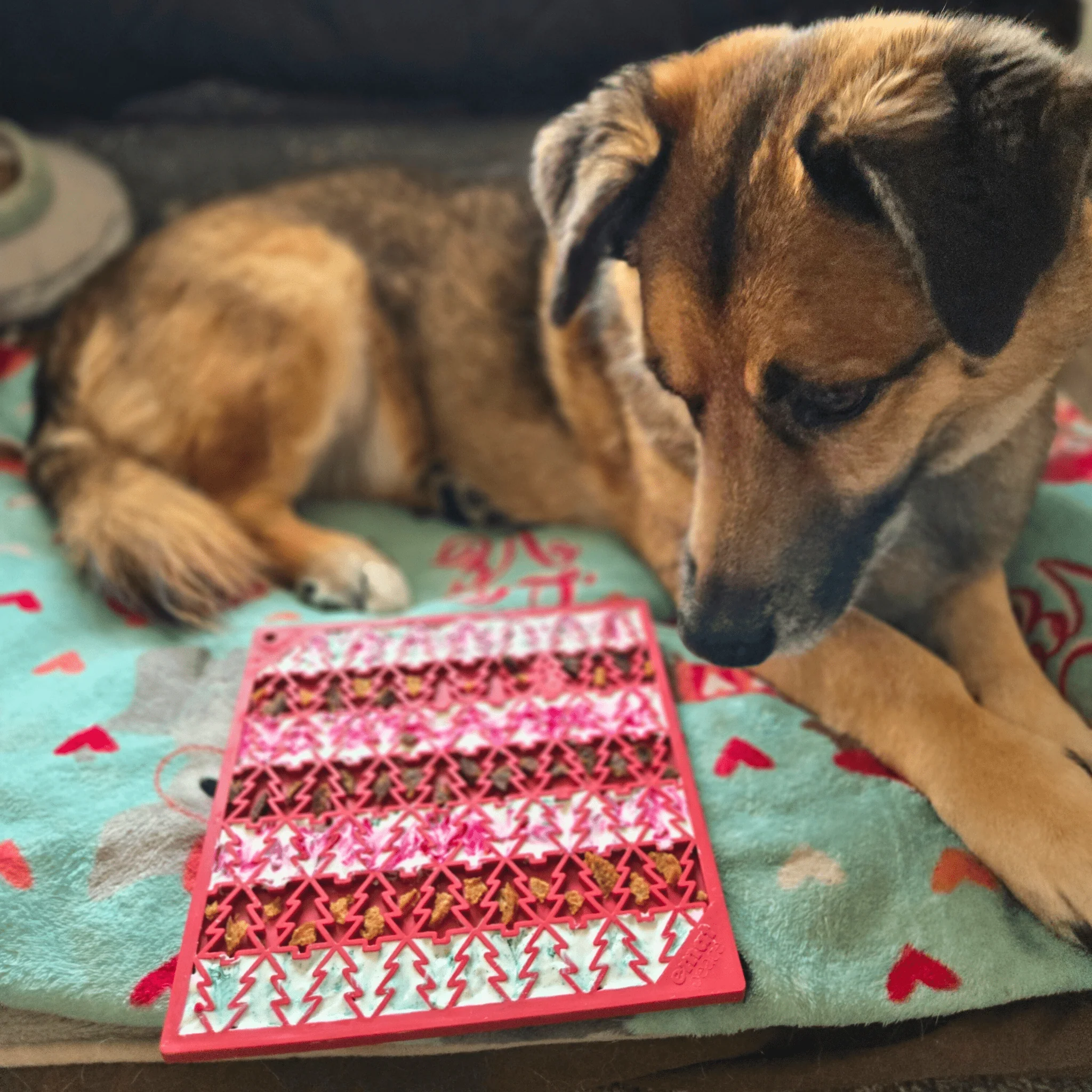 Dog Lick Mats - Image 24