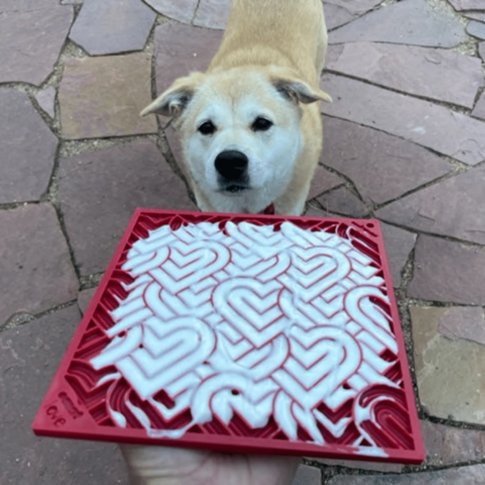 Dog Lick Mats - Image 6