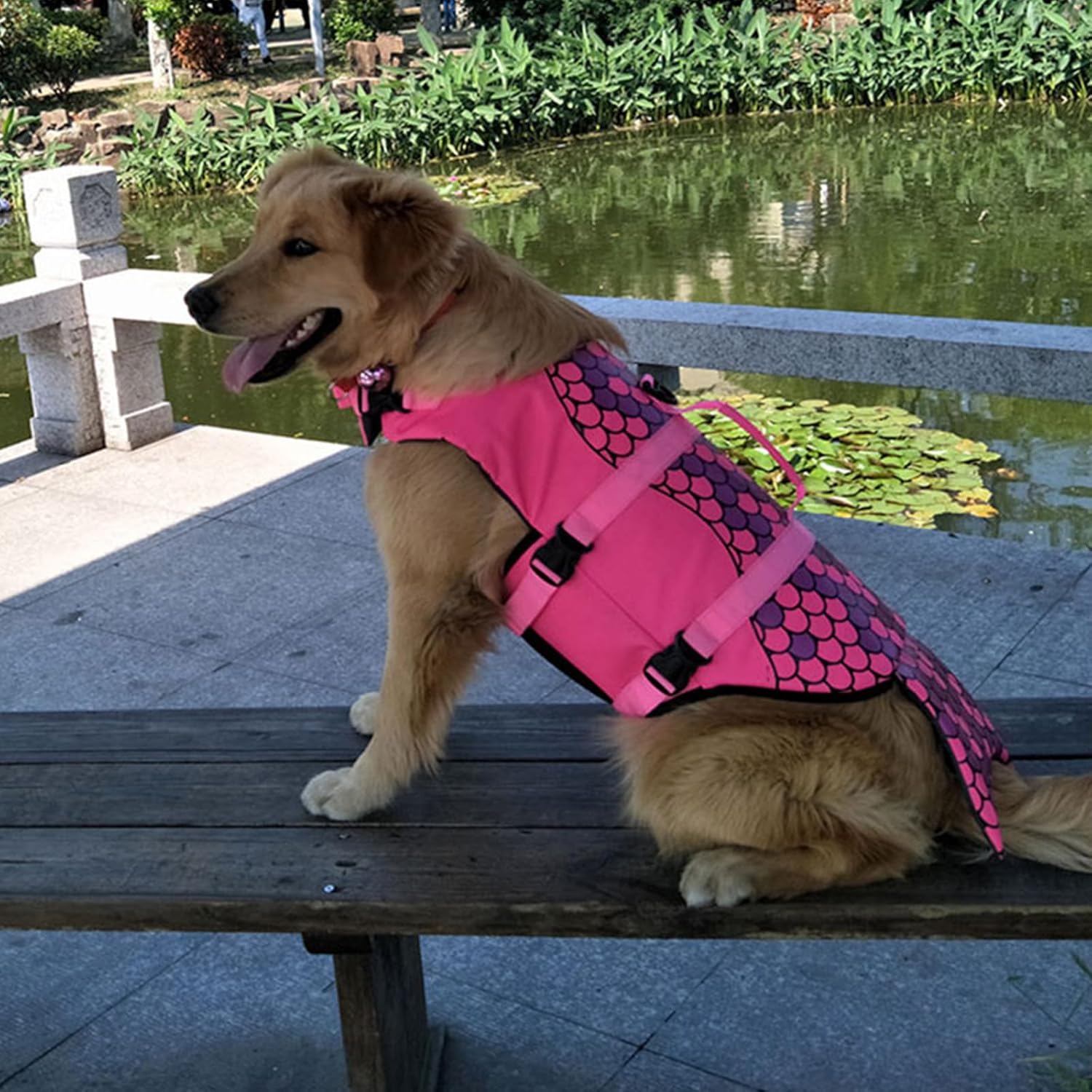 Dog life jacket pet swiming wear - Image 22