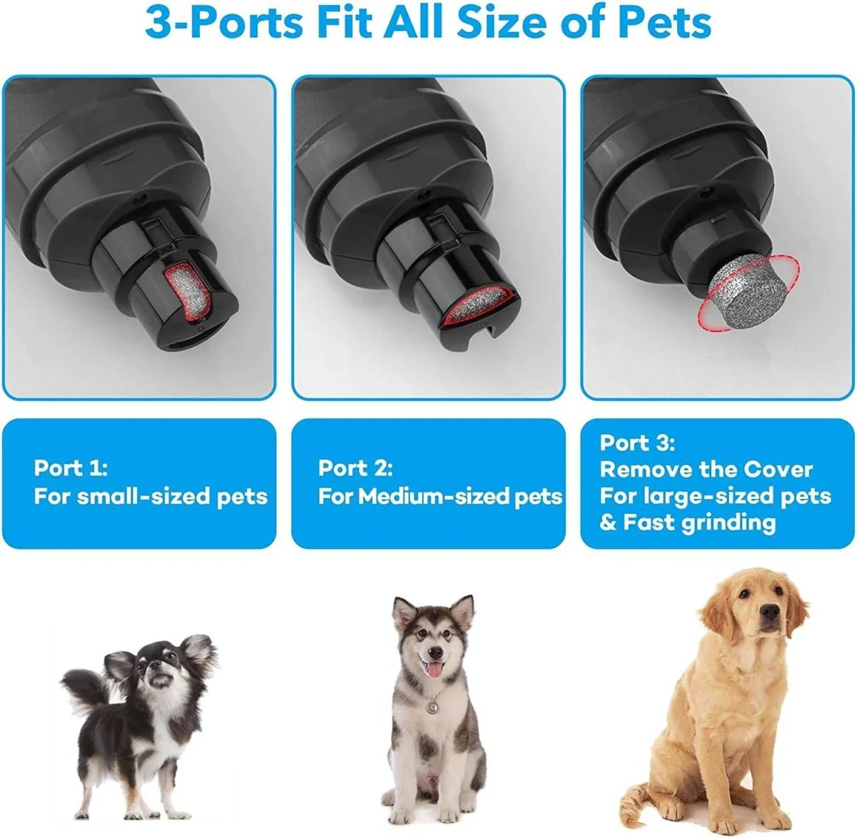 Dog nail easier with 2 LED Light - Image 6