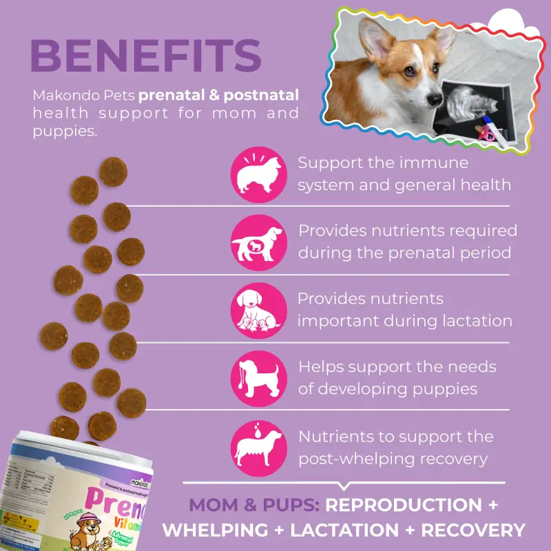 Dog Prenatal Vitamins - 120 Soft Chews - Image 2
