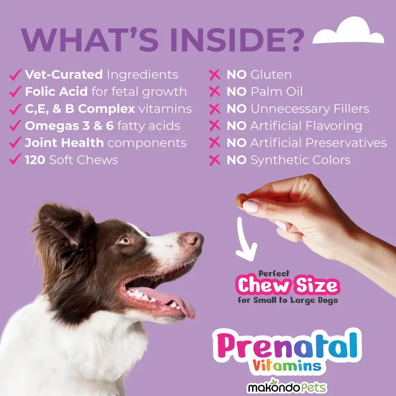 Dog Prenatal Vitamins - 120 Soft Chews - Image 3