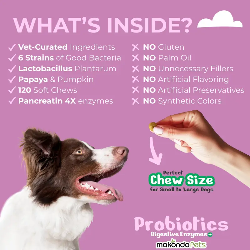 Dog Probiotics Digestive Enzymes - 120 Soft Chews - Image 3
