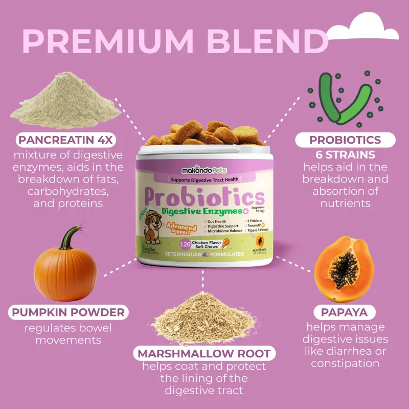 Dog Probiotics Digestive Enzymes - 120 Soft Chews - Image 4