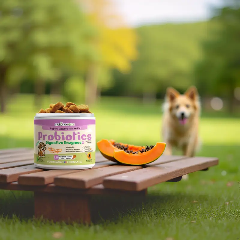 Dog Probiotics Digestive Enzymes - 120 Soft Chews - Image 8