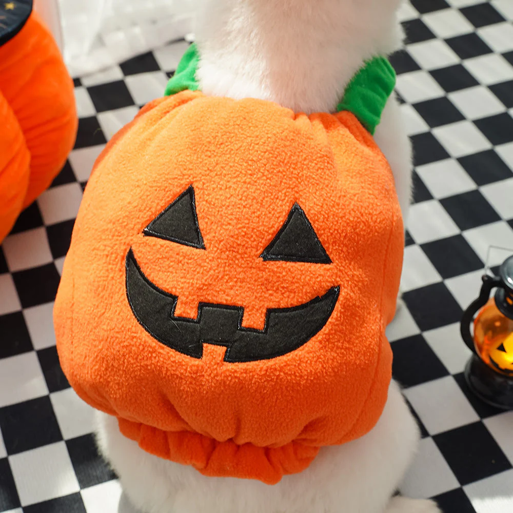 Dog Pumpkin Costume with Plush Hood & Elastic Fit+Hat Set - Image 2