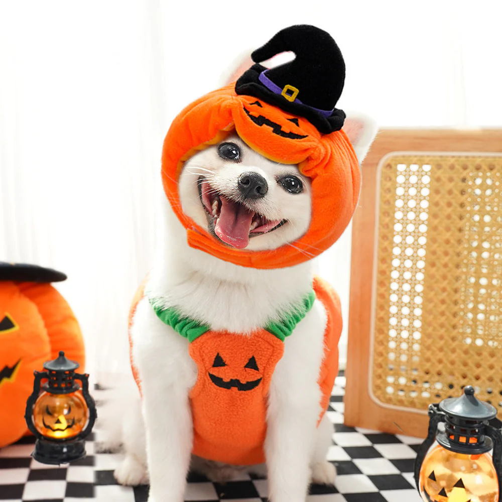 Dog Pumpkin Costume with Plush Hood & Elastic Fit+Hat Set - Image 3