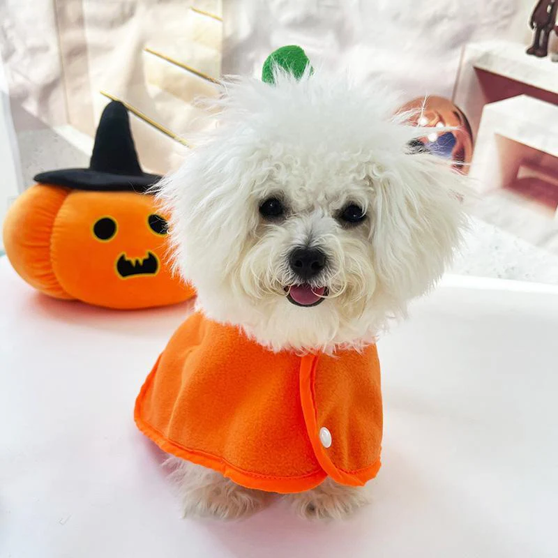 Dog Pumpkin Hooded Cape with Fleece & Snap Buttons - Image 4