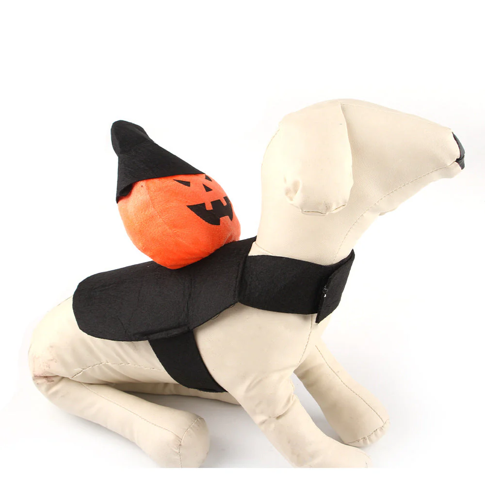 Dog Pumpkin Rider Costume - Image 2