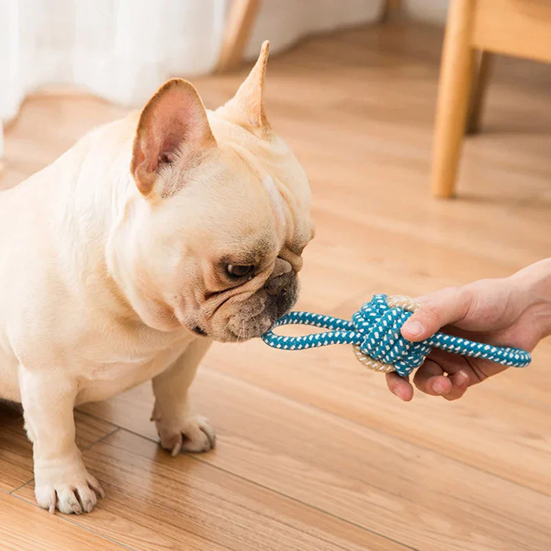 Dog Rope Toy for Strong Chewers and Puppies - Image 3