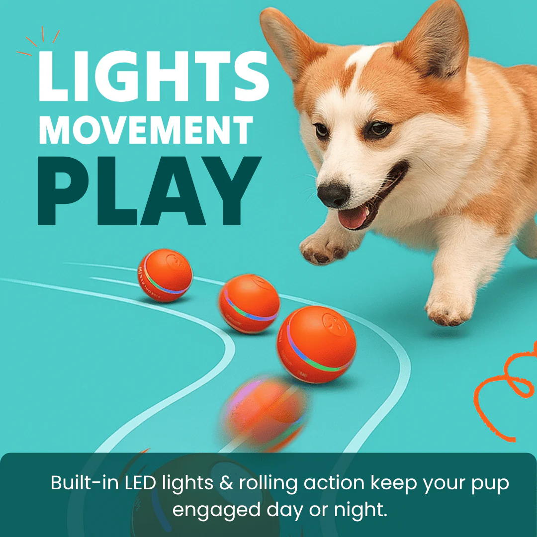DOG’S INTERACTIVE BALL - Image 3