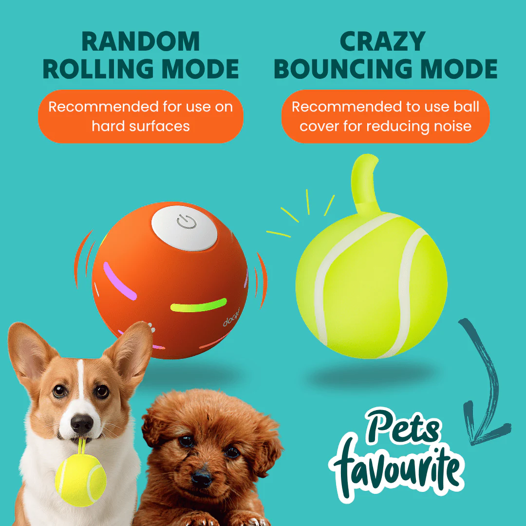 DOG’S INTERACTIVE BALL - Image 4