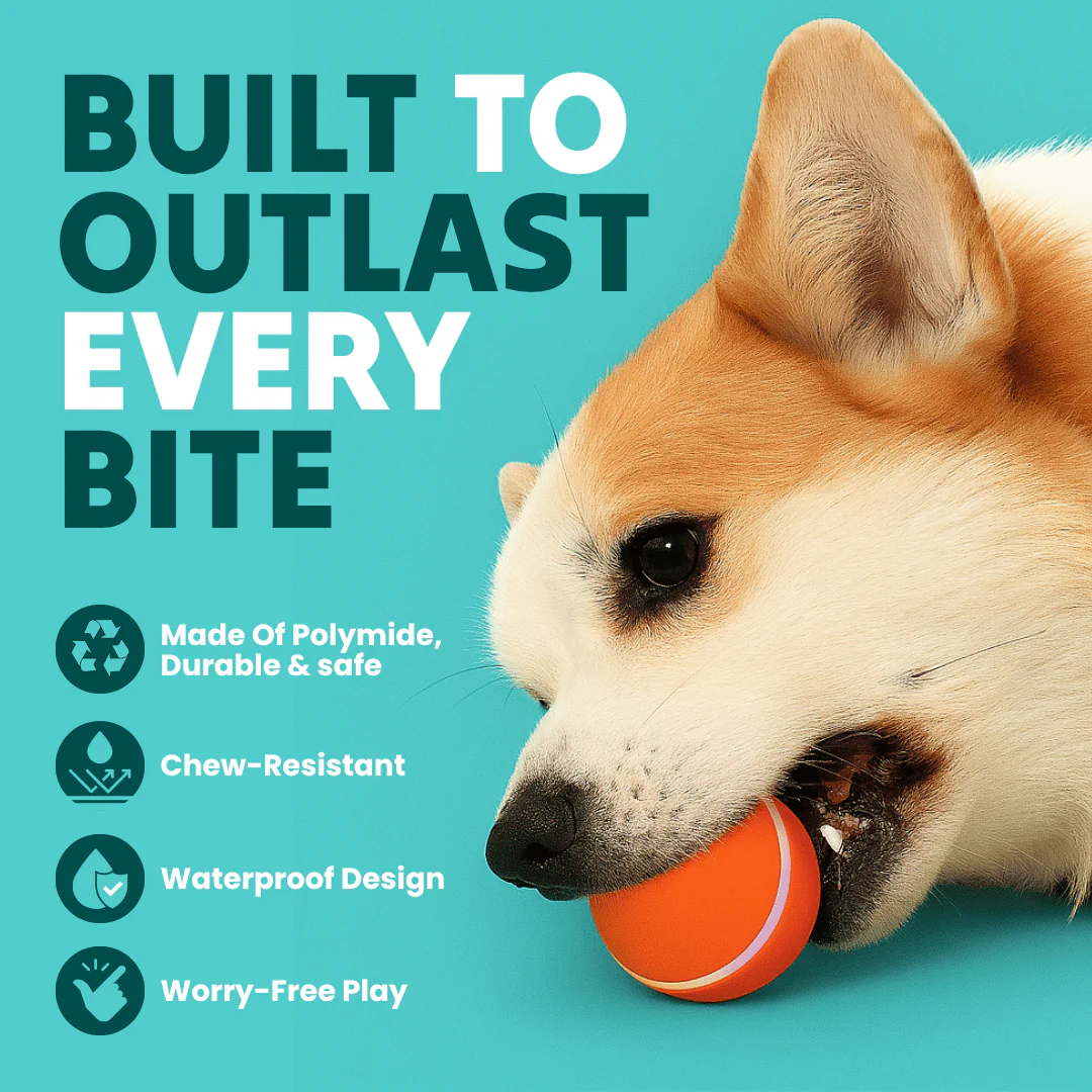DOG’S INTERACTIVE BALL - Image 5