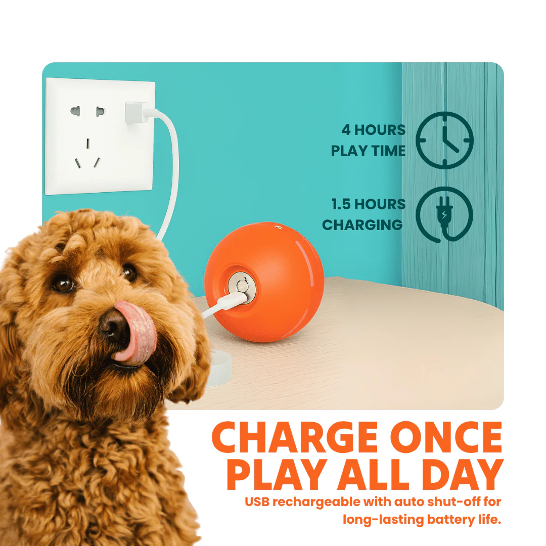 DOG’S INTERACTIVE BALL - Image 6