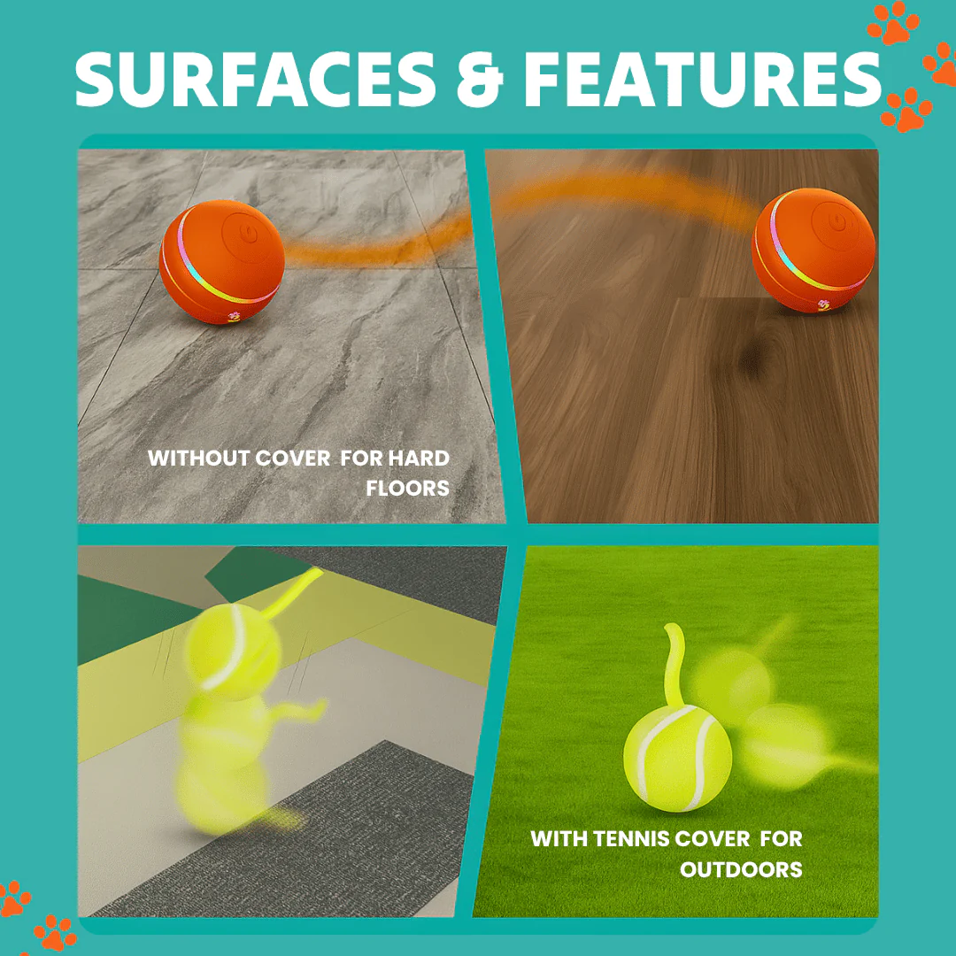 DOG’S INTERACTIVE BALL - Image 8