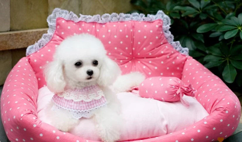Dog sofa bed princess pink dot - Image 2