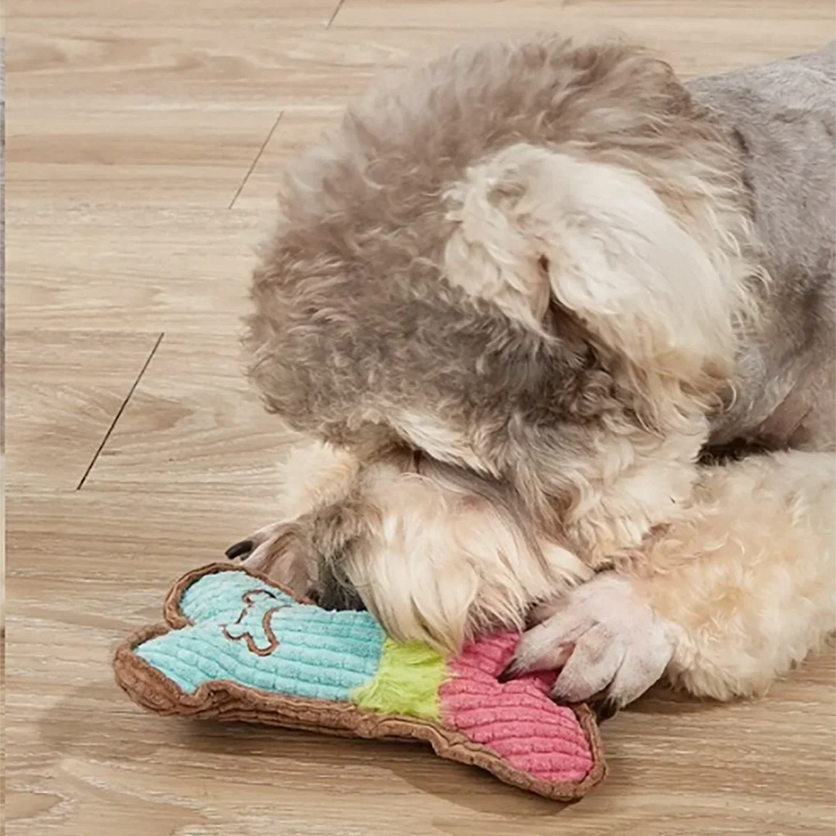 Dog Squeaky Toy - Plush Bone Chew Toy for Small & Medium Puppies - Image 2