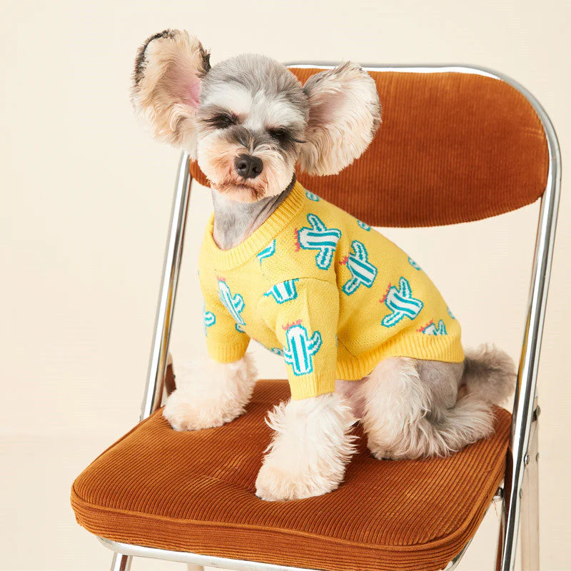 Dog sweater blue cactus - Image 3
