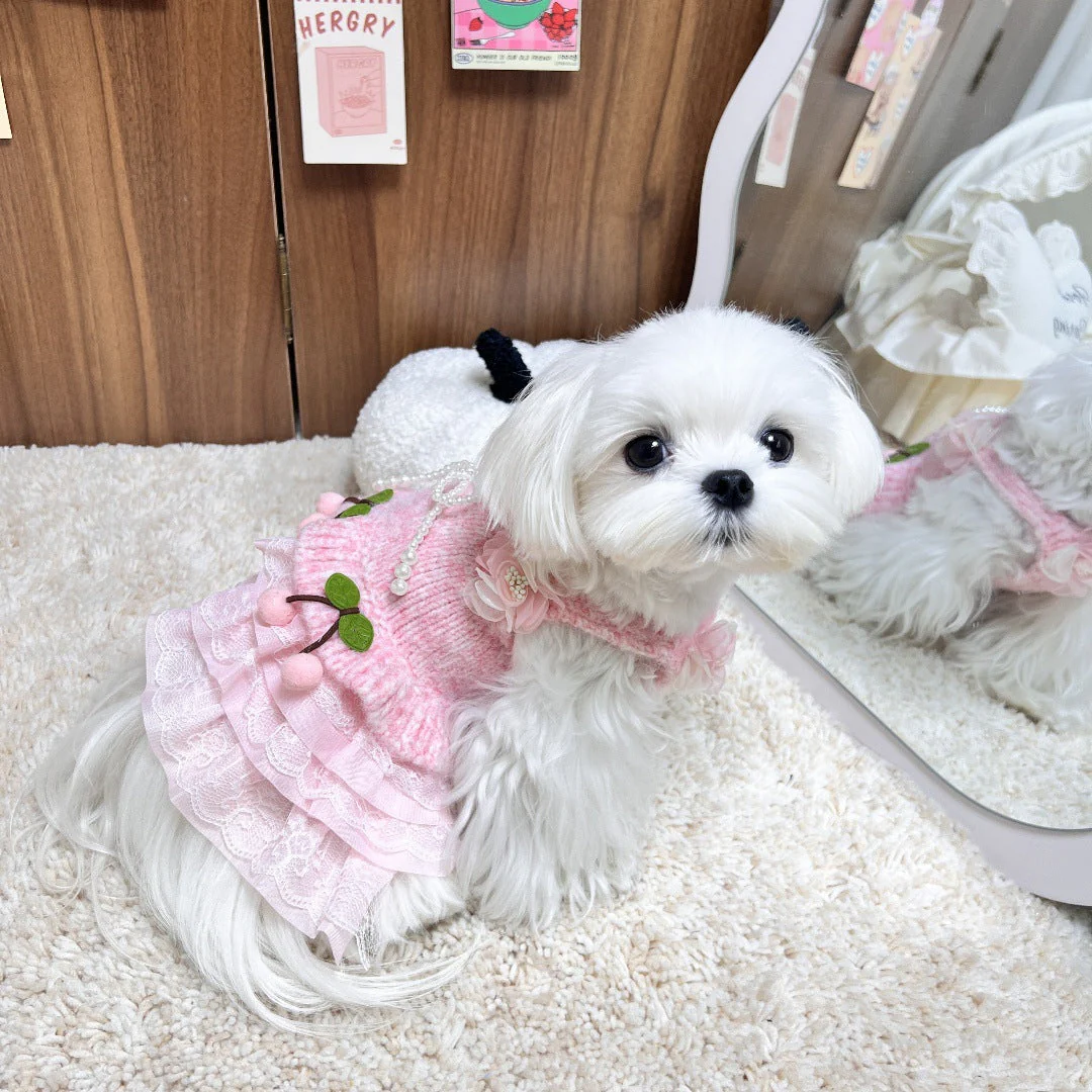 Dog Sweater Dress Pink Cherry - Image 2