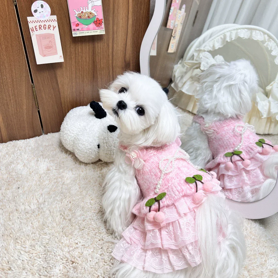 Dog Sweater Dress Pink Cherry - Image 3