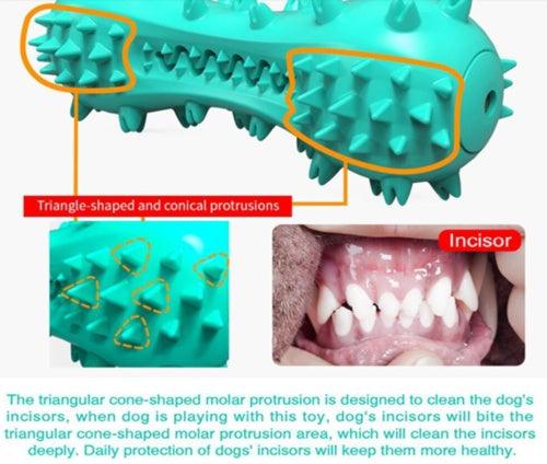 Dog Teeth Cleaning Chew Toy - Image 2