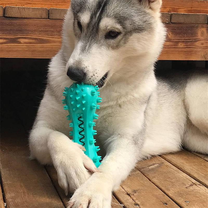 Dog Teeth Cleaning Chew Toy - Image 5