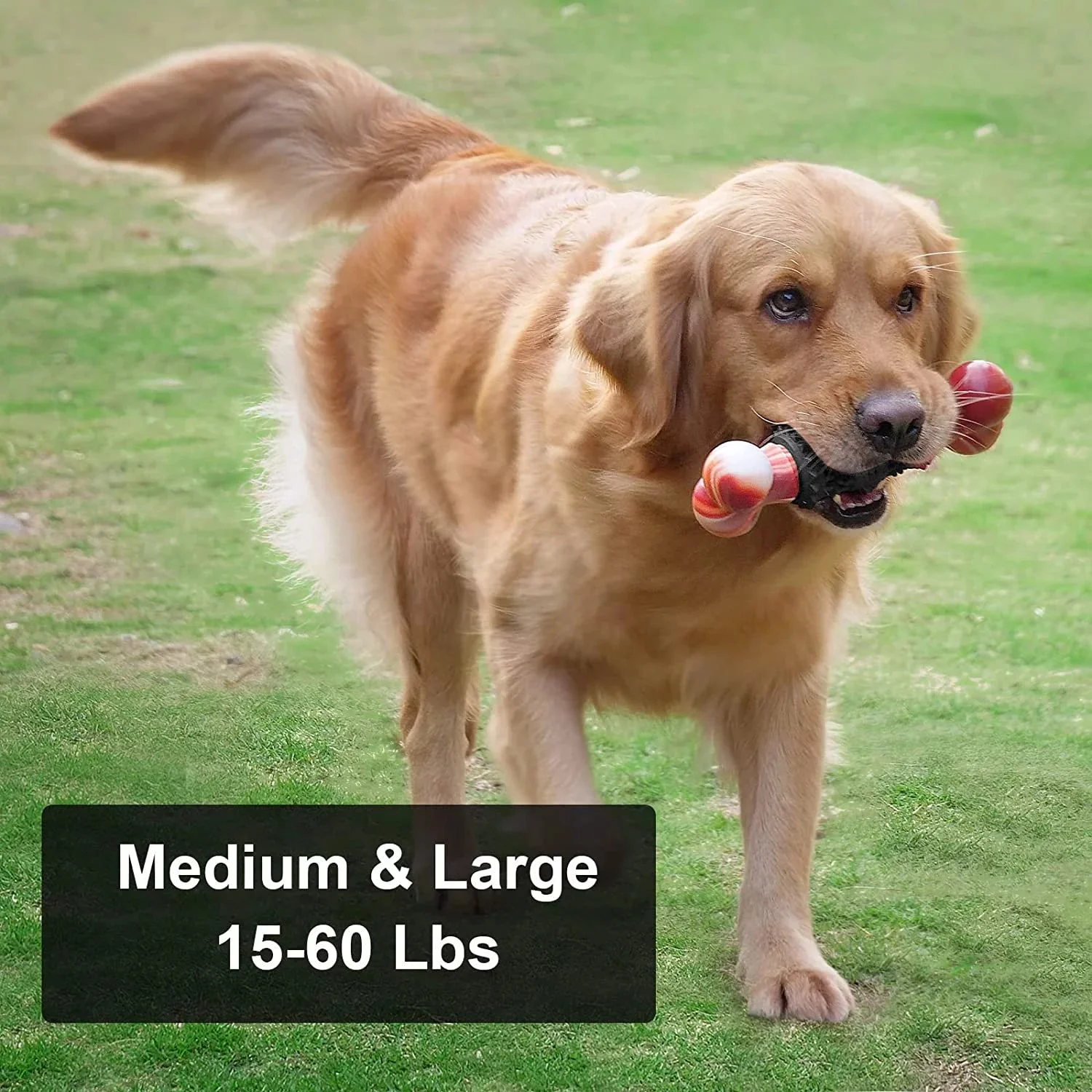 Dog Toys for Aggressive Chewers Bone - Image 4
