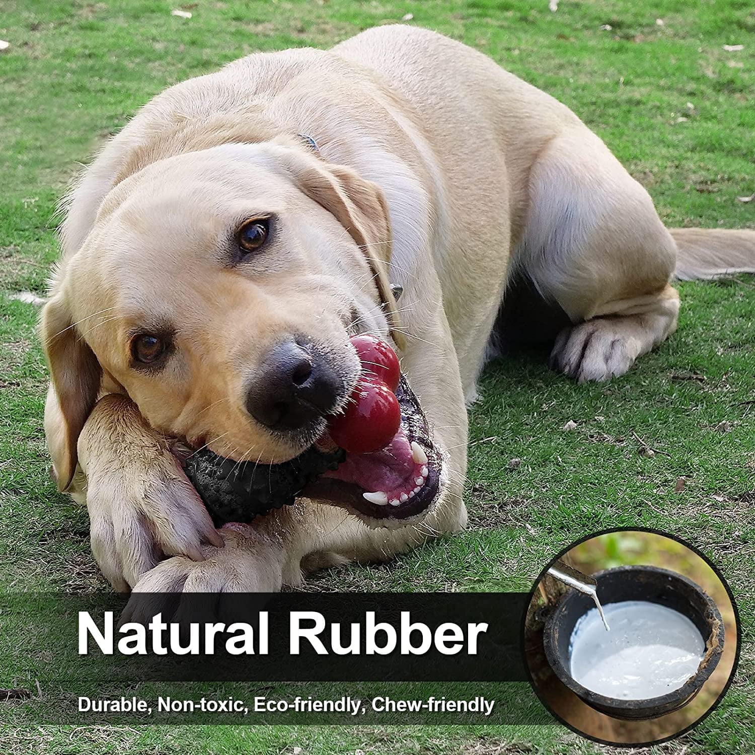 Dog Toys for Aggressive Chewers Bone - Image 6