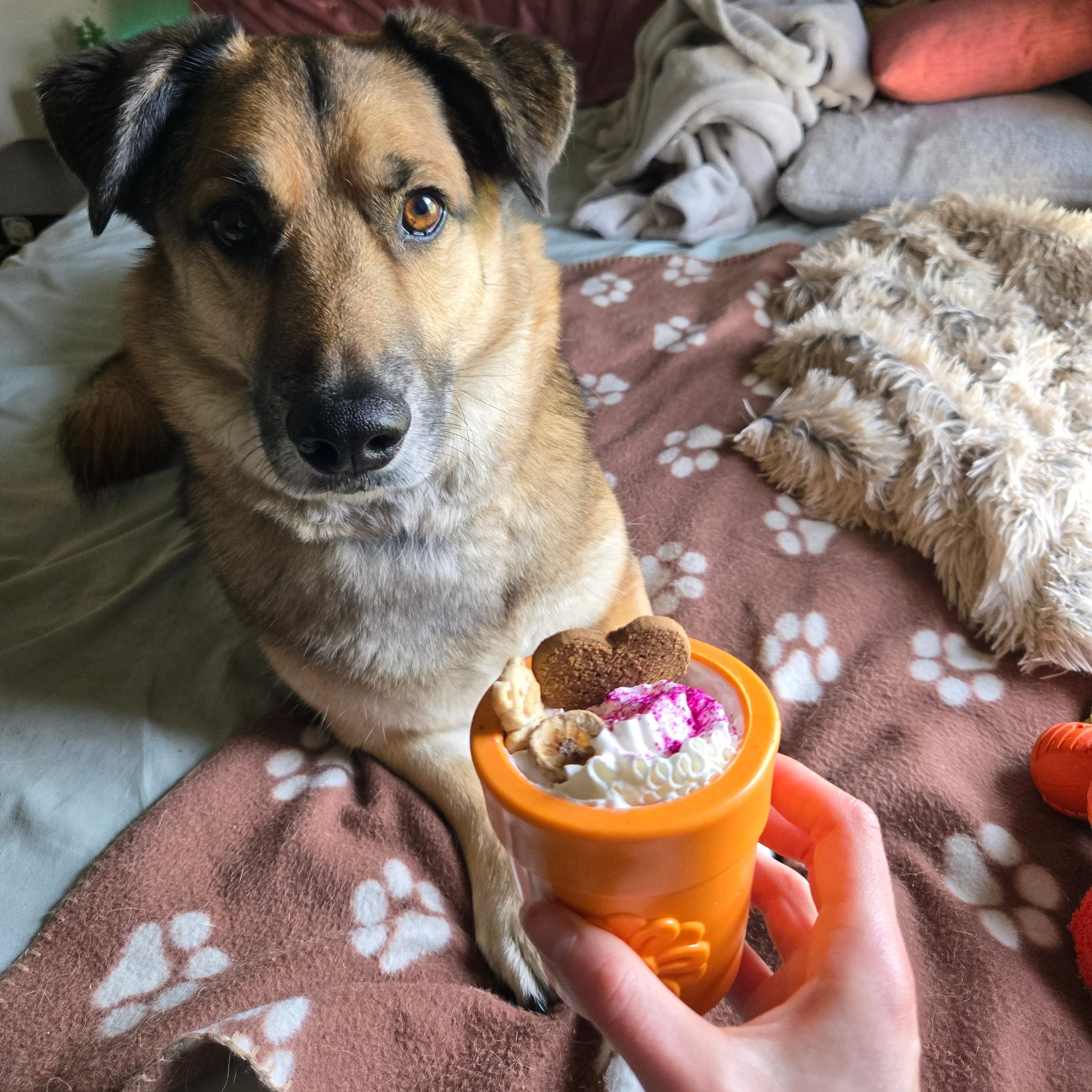 Dog Treat Dispensers - Image 14