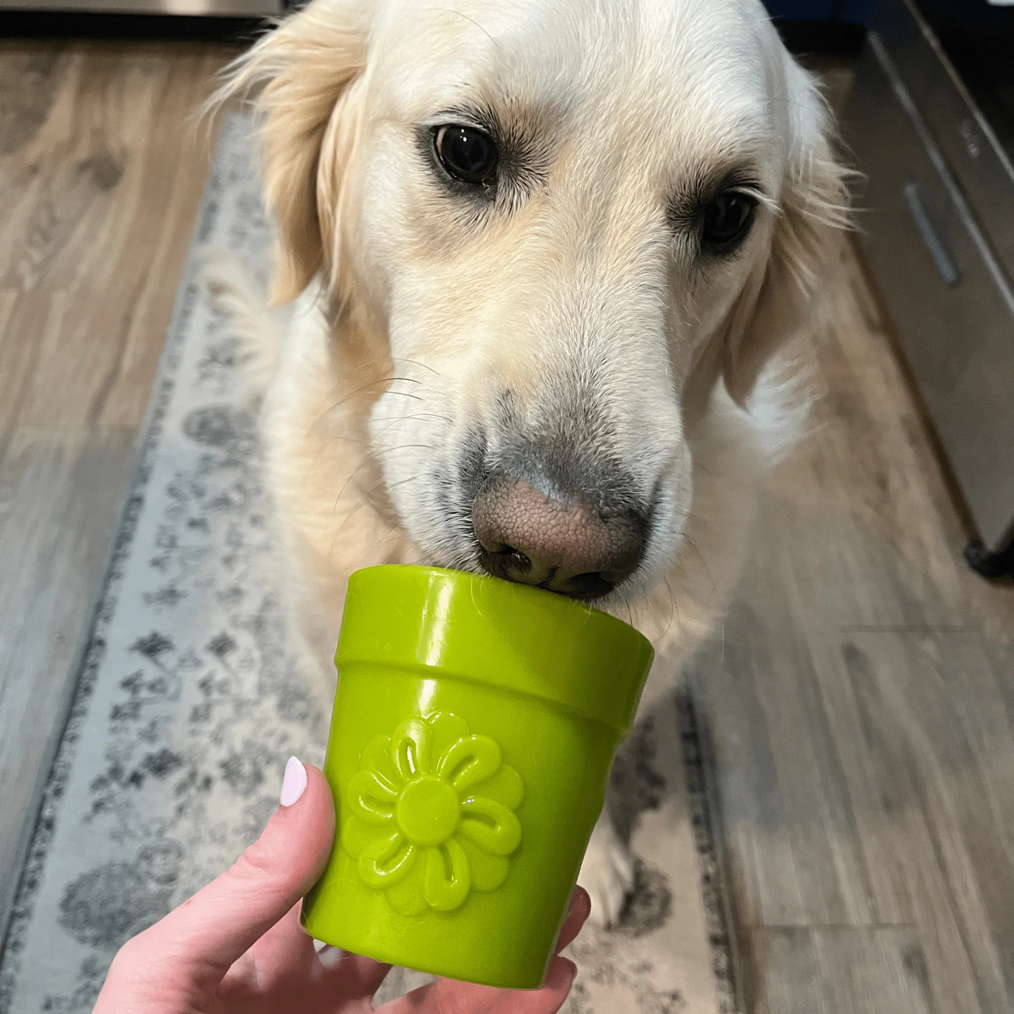 Dog Treat Dispensers - Image 15