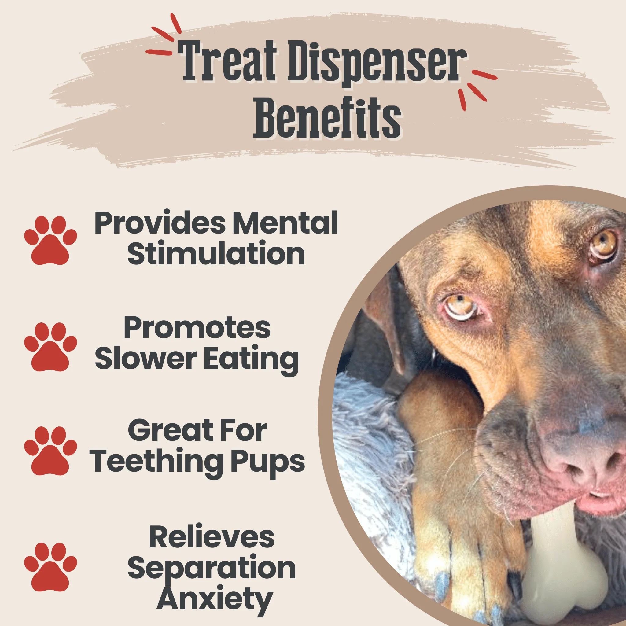 Dog Treat Dispensers - Image 33