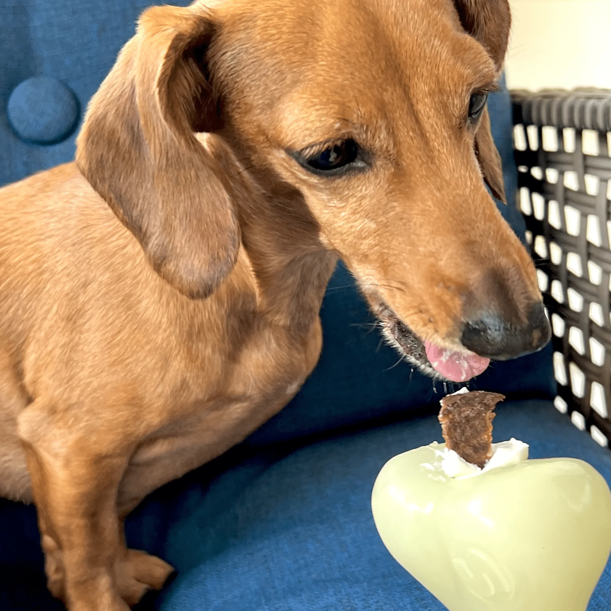 Dog Treat Dispensers - Image 35