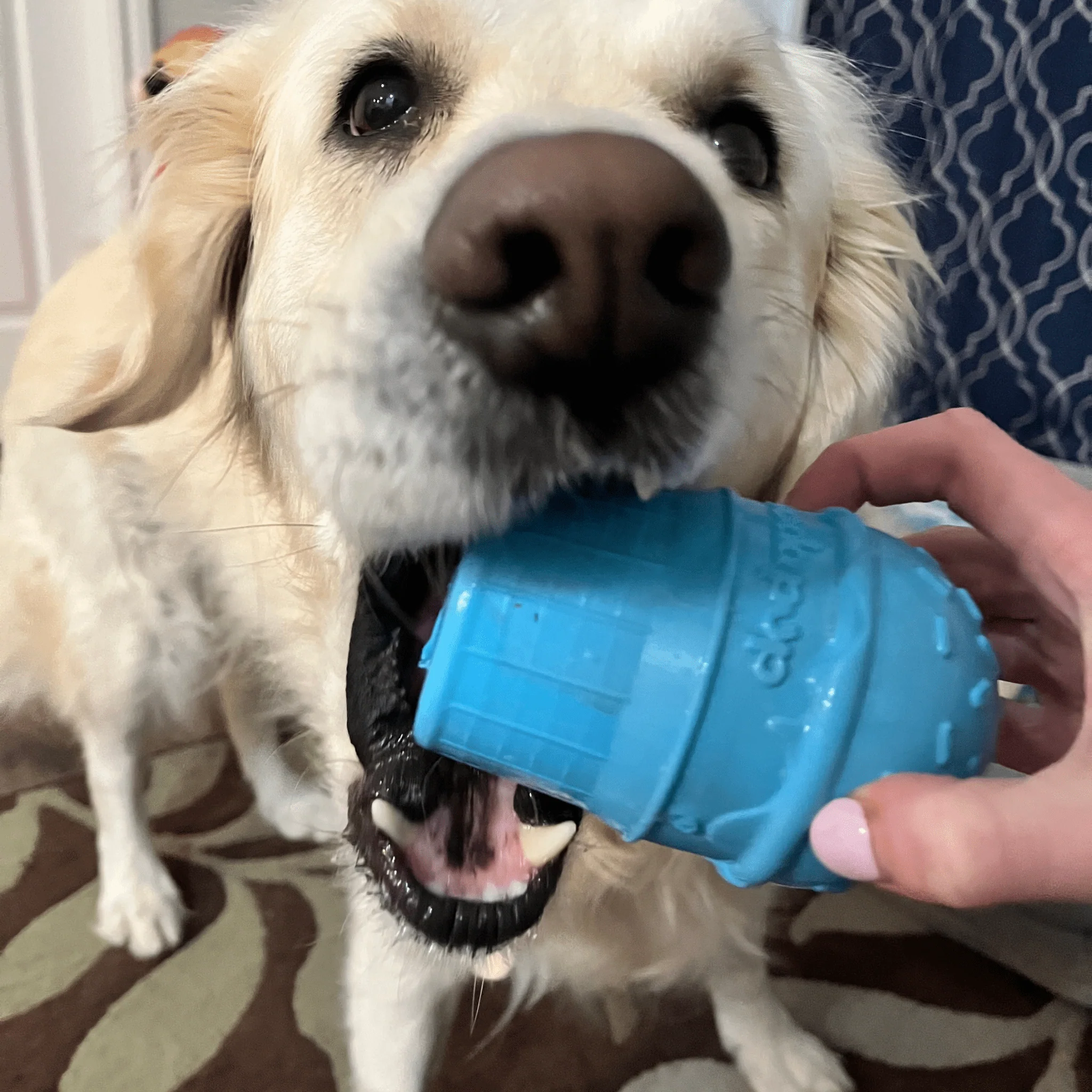 Dog Treat Dispensers - Image 7