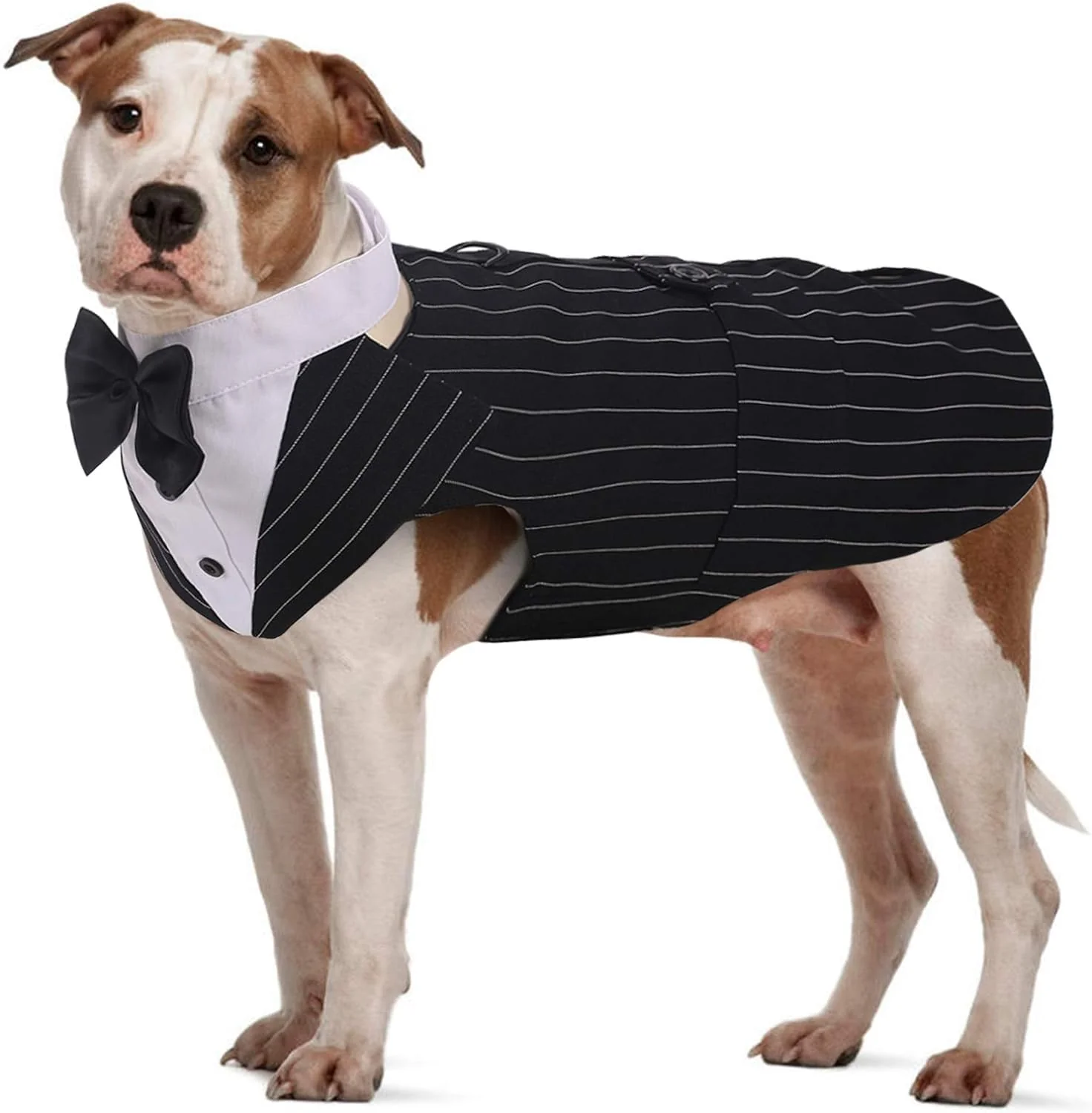 Dog Tuxedo Suit with Bow Tie – Wedding & Formal Outfit - Image 3