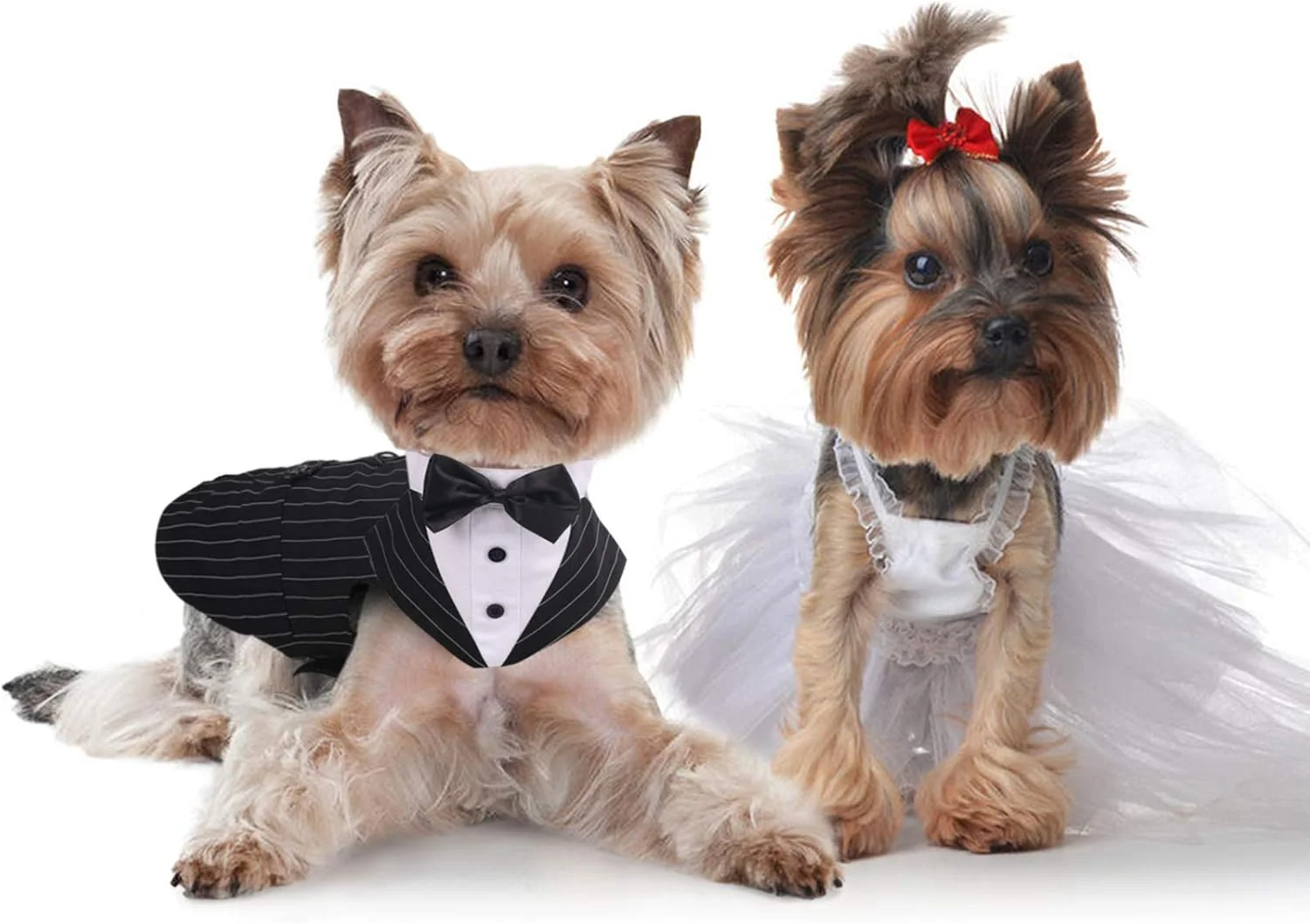 Dog Tuxedo Suit with Bow Tie – Wedding & Formal Outfit - Image 4