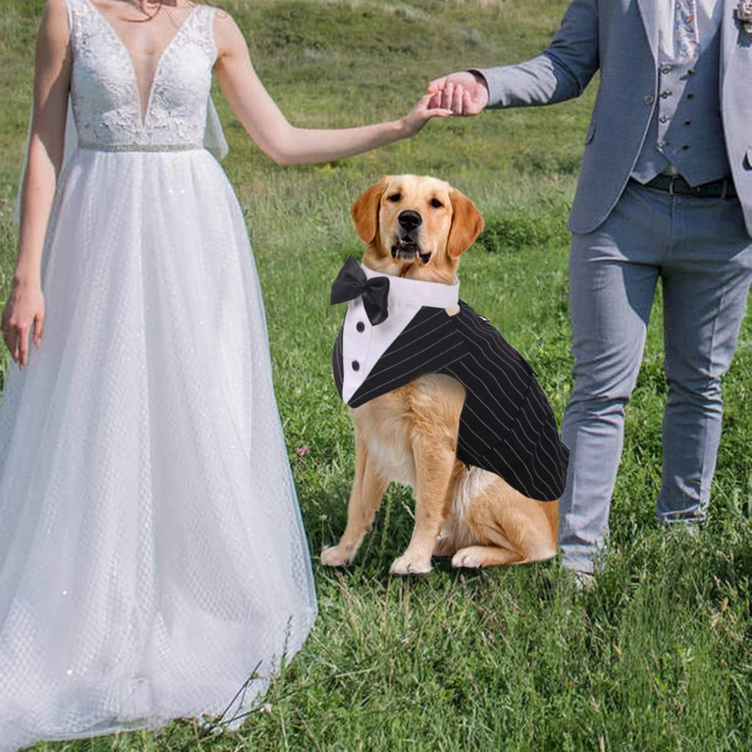 Dog Tuxedo Suit with Bow Tie – Wedding & Formal Outfit - Image 5
